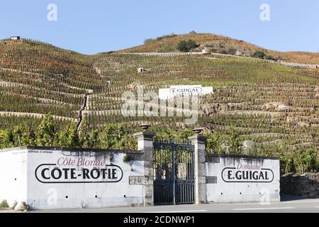 Ampuis, Francia - 22 ottobre 2016: Vigna Guigal Cote Rotie. Guigal è un'azienda vinicola e negoziante situata ad Ampuis Foto Stock