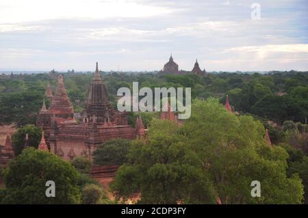 Vista aerea del paesaggio di Old Bagan in Myanmar circondato da alberi lussureggianti Foto Stock