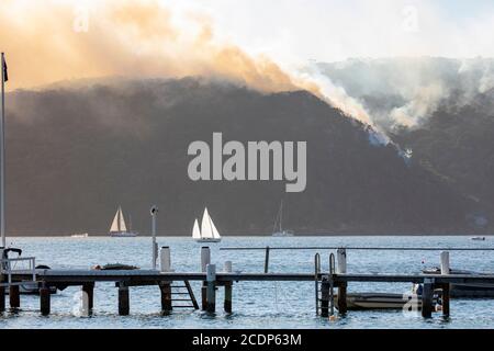 Rischio di bruciatura posteriore controllata riduzione ustioni in Ku ring Gai Parco nazionale Australia in vista della stagione del fuoco d'inverno Foto Stock