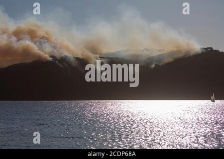 Rischio di bruciatura posteriore controllata riduzione ustioni in Ku ring Gai Parco nazionale Australia in vista della stagione del fuoco d'inverno Foto Stock