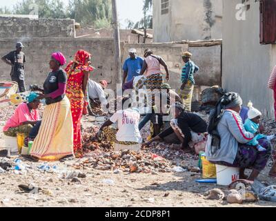 Senegal, Africa - 25 gennaio 2019: Donne africane che lavorano per la selezione dei pesci catturati e di altre creature marine Foto Stock