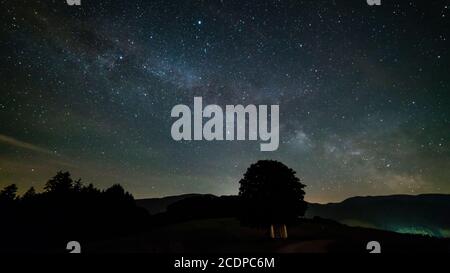 Germania, Foresta Nera Schwarzwald paesaggio naturale di alberi sotto i milioni magici di stelle della galassia modi lattigini di notte Foto Stock