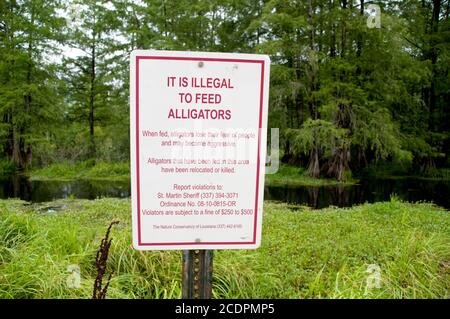 Un cartello "non nutrire gli alligatori" nella riserva di Cypress Island, sul bordo occidentale della palude di Atchafalaya, vicino a Lafayette, Louisiana. Foto Stock