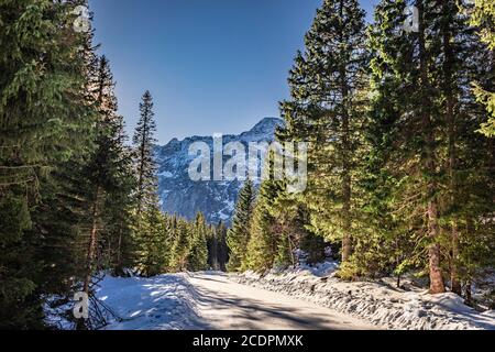 Strada per il famoso lago occhio di mare in inverno, Tatra, Polonia Foto Stock