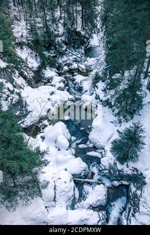 Torrente che scorre dalle cascate di Mickiewicz, montagne di Tatra in inverno, Polonia Foto Stock