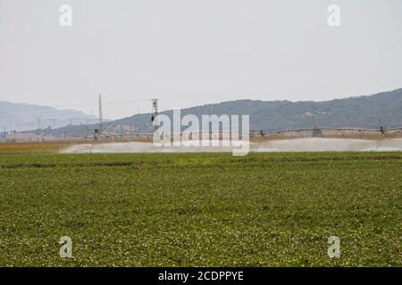 Sistema di irrigazione automatizzato, la Janda, Costa de la Luz, Spagna. Foto Stock