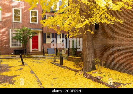Vicolo autunnale in un quartiere tradizionale di Philadelphia, Pennsylvania, Stati Uniti. Foto Stock