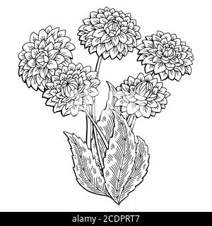 Dahlia fiore grafico nero bianco isolato bouquet disegno vettore Illustrazione Vettoriale