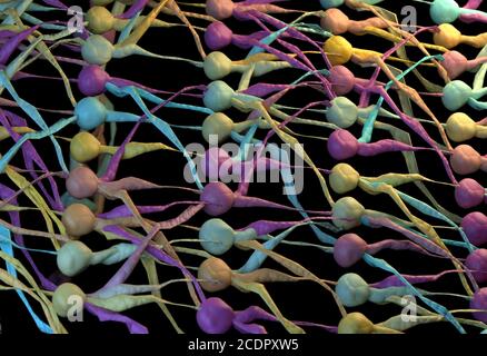 Colore rete neuronale. neurone netto. 3D'illustrazione. Foto Stock