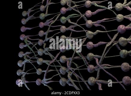 Rete neuronale. neurone netto. 3D'illustrazione. Foto Stock