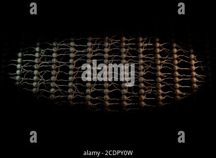 La rete neurale. Neurone rete. 3d illustrazione Foto Stock