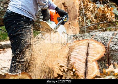 Un paesaggista che usa una motosega per tagliare un albero che è caduto durante la tempesta tropicale Isaias su Long Island New York. Foto Stock