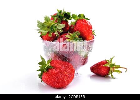 fragole naturali mature in una tazza trasparente appannata con gocce d'acqua su fondo bianco, bacche succose, frullato vitaminico, vegetarianismo e lui Foto Stock