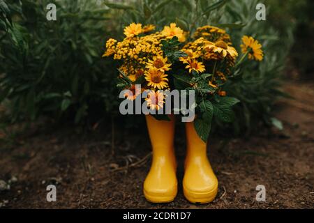 Stivali in gomma gialla con bellissimi fiori di campo gialli in giardino. Spazio di copia per il testo Foto Stock