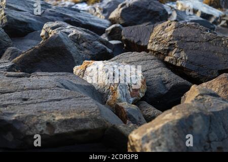 tufo roccia vulcanica quarried isolata tra rocce più scure Foto Stock