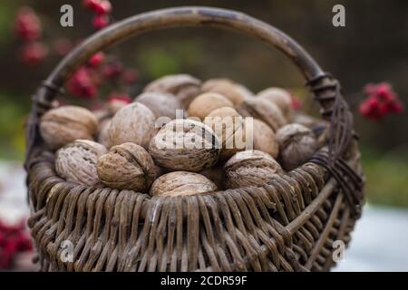 Cestini di vimini contenenti noci Foto Stock