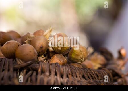 Un cestello di nocciole tostate invitante Foto Stock