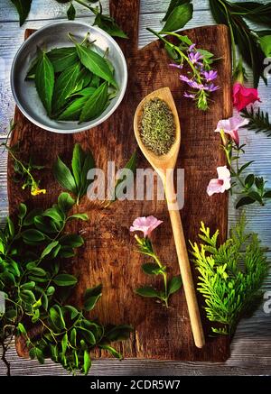 Erbe provenzali su un cucchiaio in cucina Foto Stock