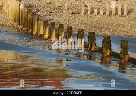 Breakwaters a rapidamente ritrattamento marea, East Wittering / West Wittering spiaggia, gennaio. Sussex occidentale. Foto Stock