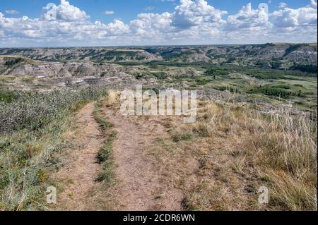 Panoramica del Dry Island Buffalo Jump Provincial Park nella Red Deer River Valley vicino alla città di Trochu, Alberta, Canada Foto Stock