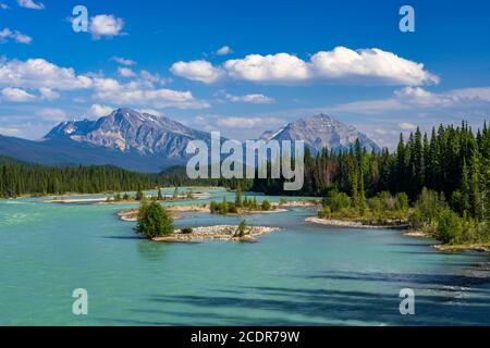 Il fiume Athabasca lungo la icefields Parkway vicino a Jasper, Alberta, Canada Foto Stock