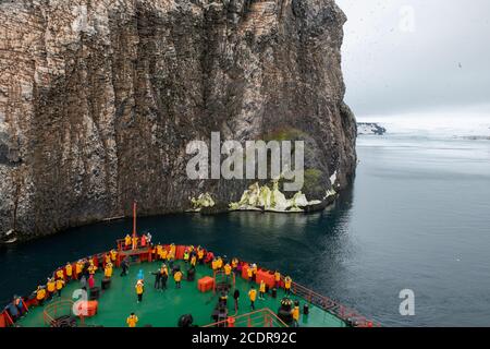 Russia, Alto Artico, Franz Josef Land. Tikhaya Bukta aka Tikhaya Bukhta (Baia calma). Sito di nidificazione di Rubini Rock. Parco nazionale artico russo. Foto Stock