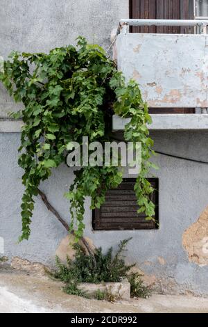 Sulle strade di Omisalj, Isola di Krk, Croazia Foto Stock