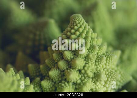 Dettaglio delle spirali logaritmiche di romanesco broccoli Foto Stock