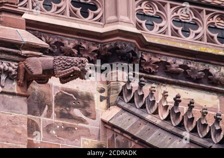 Dettagli con beccuccio sulla facciata a navata della Cattedrale di nostra Signora, Friburgo in Breisgau, Baden-Wurttemberg, Germania. Foto Stock