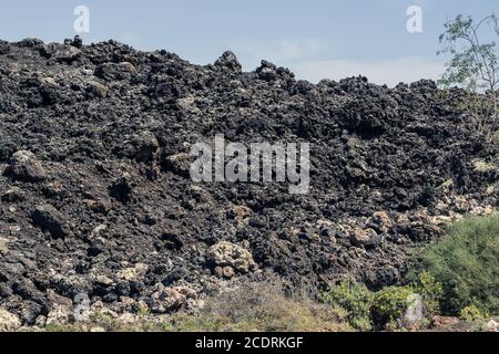 Primo lichene e piante di una nuova vegetazione sul flusso di lava raffreddato a Mancha Blanca, Foto Stock