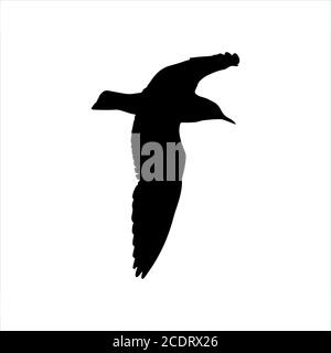 Flying Seagull Bird silhouette nera isolata su sfondo bianco Foto Stock