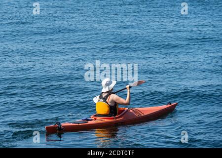 Malmo, Svezia - 16 agosto 2020: Una calda giornata estiva e la gente gode di sport acquatici Foto Stock