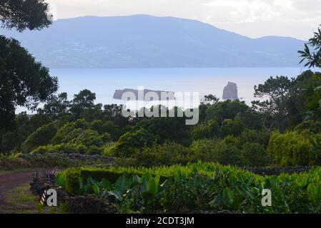 Ilheus da Madalena, due isolotti rocciosi al largo della costa dell'isola di Pico, arcipelago delle Azzorre Foto Stock