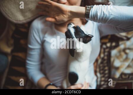 Ritratto di felice donna sorridente che si posa sul letto e gioca con il cane Chihuahua. Vista dall'alto Foto Stock