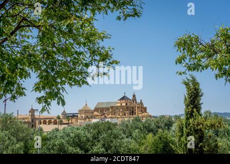La Moschea della Cattedrale di Cordova dall'altra parte del ponte romano Foto Stock