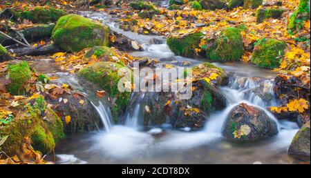 Bella cascata cascata nella foresta di autunno Foto Stock
