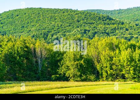 Paesaggio verde scenico nella parte alta dello stato di New York. Foto Stock