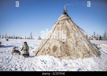 Una giovane ragazza Nenet e un cane samoyed da un chum (tenda tradizionale). Yamalo-Nenets Autonomous Okrug, Russia Foto Stock