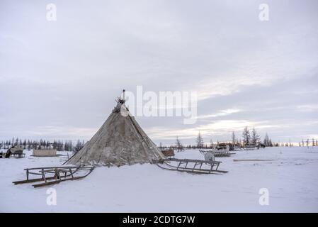 Un chum (tenda tradizionale Nenet coperta di pelli di renne) nella tundra nevosa, Yamalo-Nenets Autonomous Okrug, Russia Foto Stock