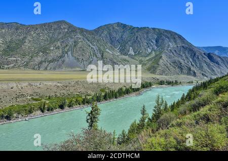 Fiume di montagna turchese Katun, Repubblica di Altai, Russia Foto Stock