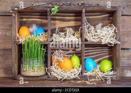 Felici vacanze di pasqua concetto. Colorate le uova di gallina uova di quaglia grano germinato nel vasetto di vetro il ramo di alberi con boccioli. Foto Stock