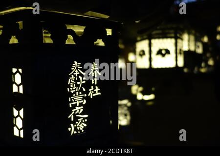 Lanterne Illuminazione nel buio, Kasuga-Taisha Santuario, Nara, Giappone Foto Stock