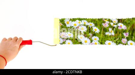Una persona che dipinge margherite su una parete bianca con un spazzola a rullo Foto Stock