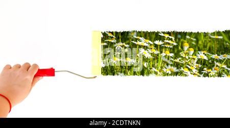 Una persona che dipinge margherite su una parete bianca con un spazzola a rullo Foto Stock