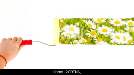 Una persona che dipinge margherite su una parete bianca con un spazzola a rullo Foto Stock