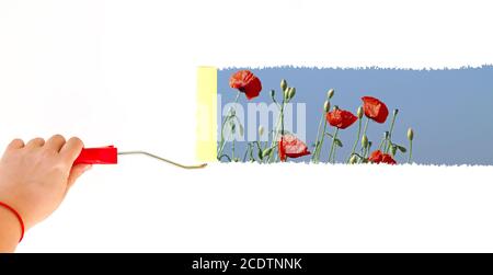 Una persona che dipinge papaveri su una parete bianca con un spazzola a rullo Foto Stock