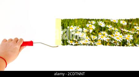 Una persona che dipinge margherite su una parete bianca con un spazzola a rullo Foto Stock