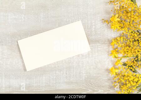 Mimosa e narcisi gialle su una superficie di legno chiaro Foto Stock