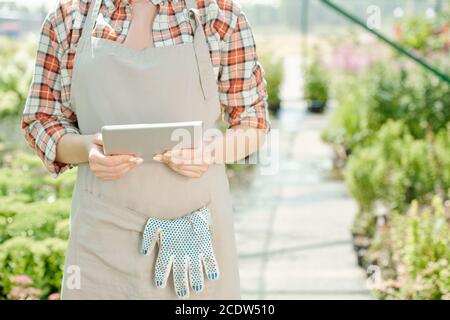 Sezione centrale della giovane lavoratrice contemporanea di serre che tiene il touchpad Foto Stock