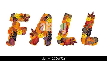 Word Fall composto da foglie e bacche d'autunno brillanti e colorate Foto Stock